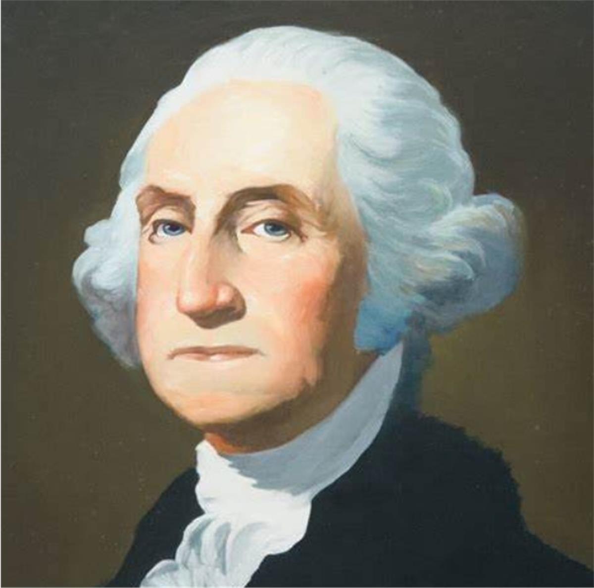 George Washingtons Aufstieg zum Aufstand Washingtons langer Weg vom Plantagenbesitzer aus Virginia z